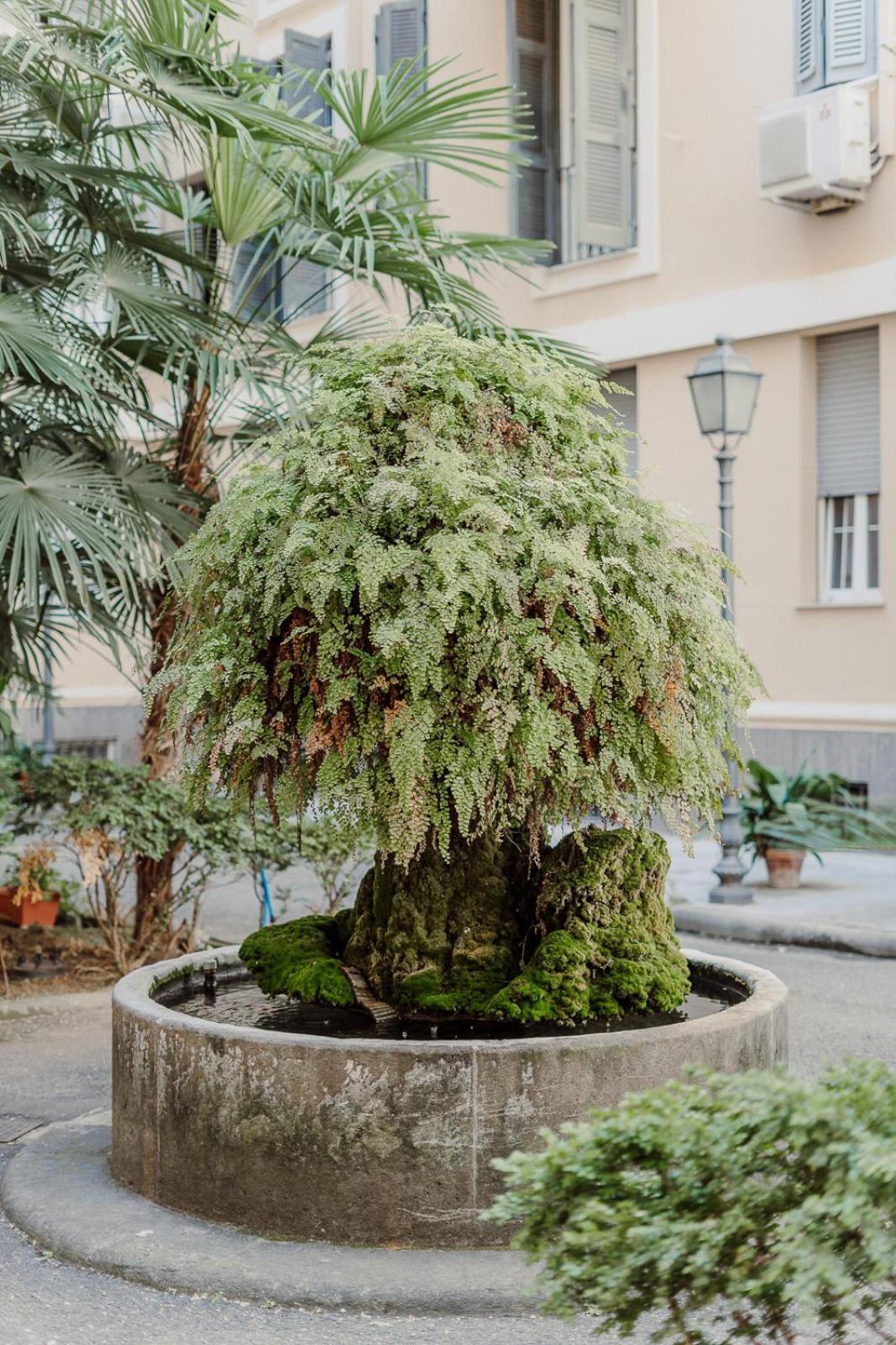 Valentine'S Dream Apartment Roma Exterior foto